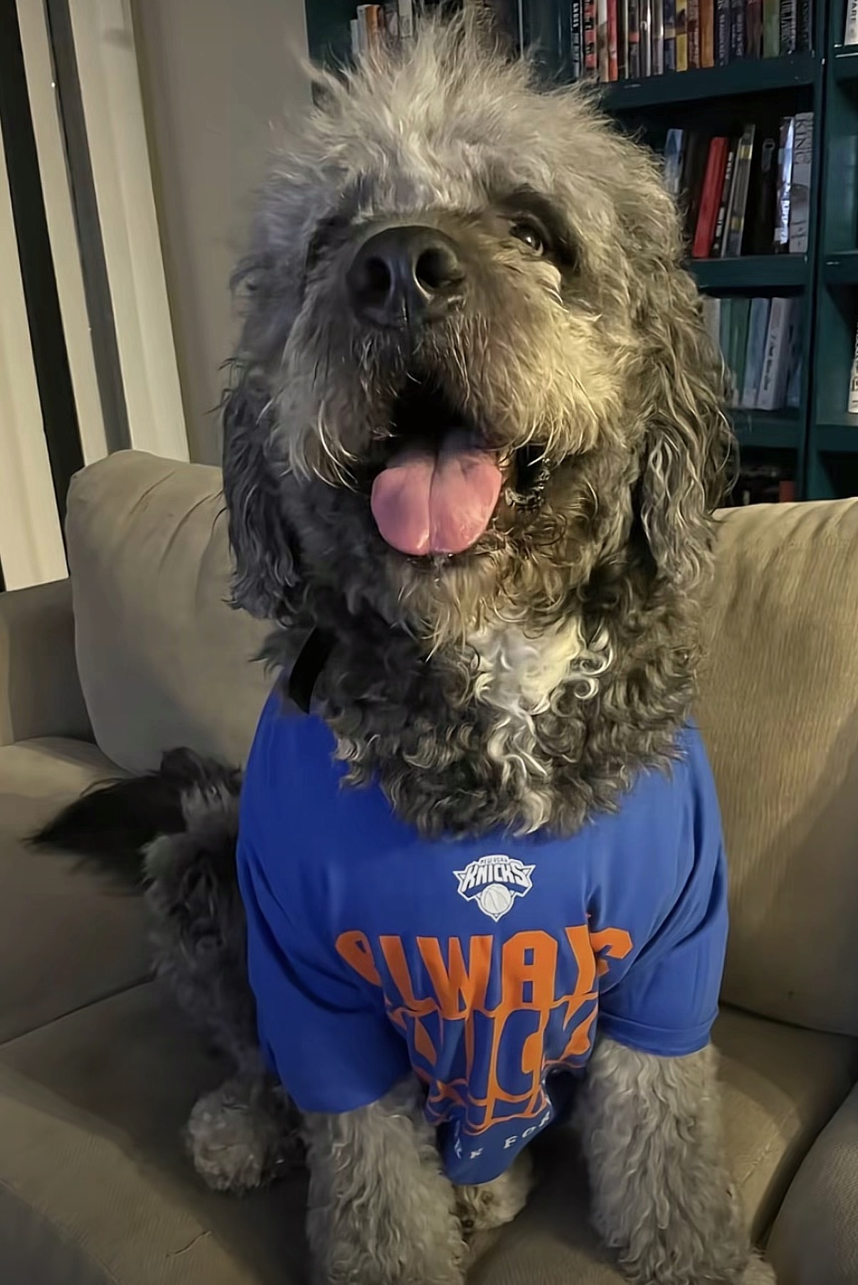 Jameson in a Knicks jersey